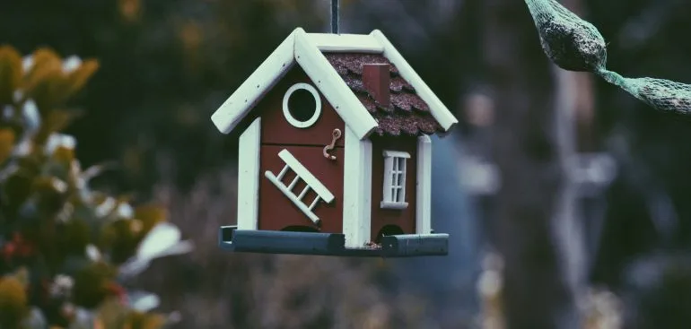 harper-van-mourik-0yfWDwHOB0g-unsplash-770x367